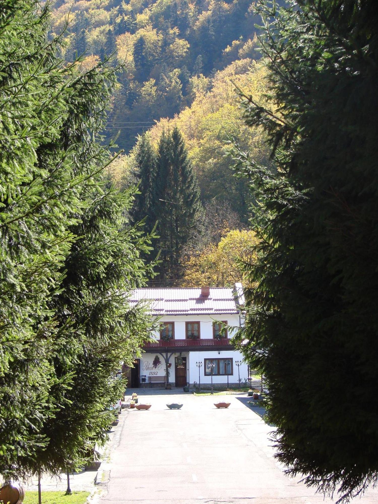 Pensiunea Rhein Azuga Exterior foto
