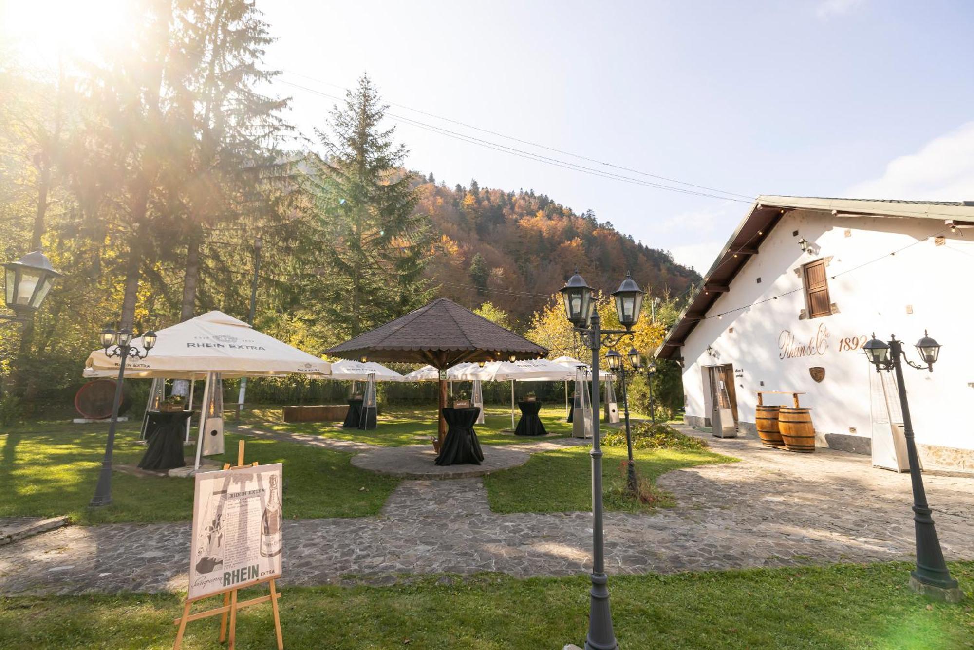 Hotel Pensiunea Rhein Azuga Exterior foto